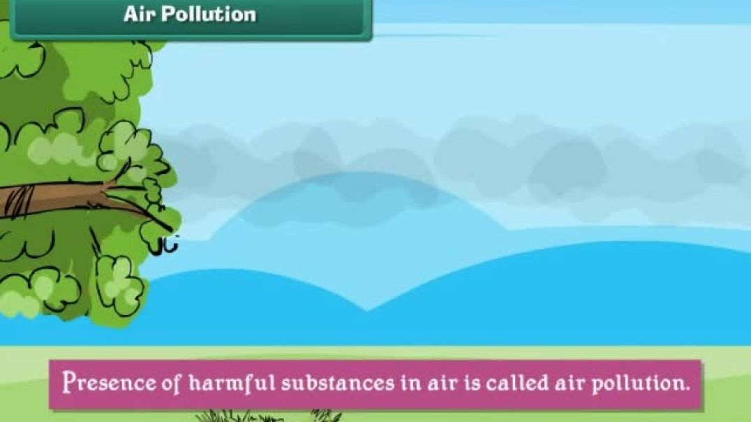 Class 3 English Medium EVS Animated video of Our Surroundings