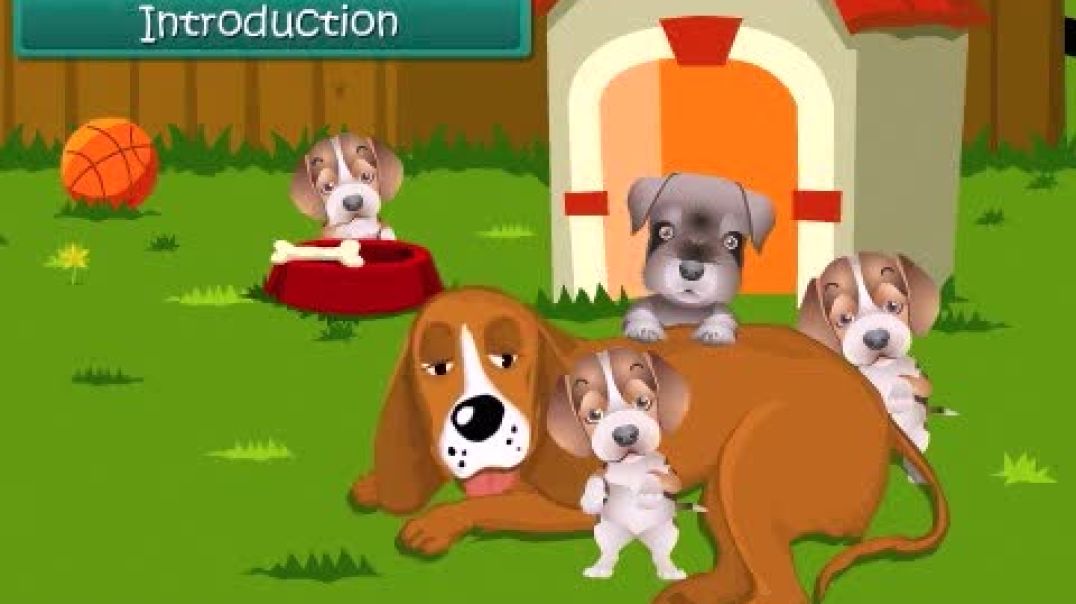 Class 3 English Medium EVS Animated video of Living and non-Living Things