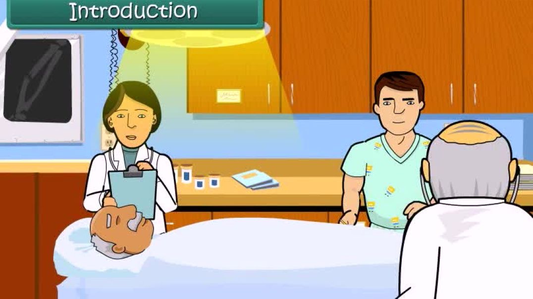 Class 4 English Medium EVS Animated video of Internal Organs of Our Body(1)