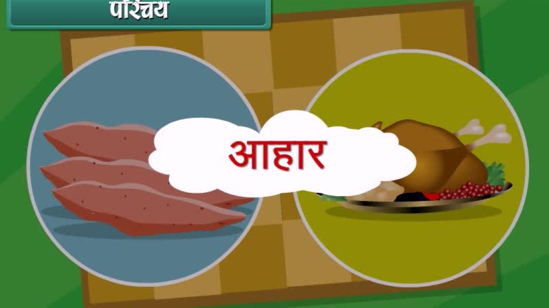 Class 1 Hindi Medium EVS Animated video of Food