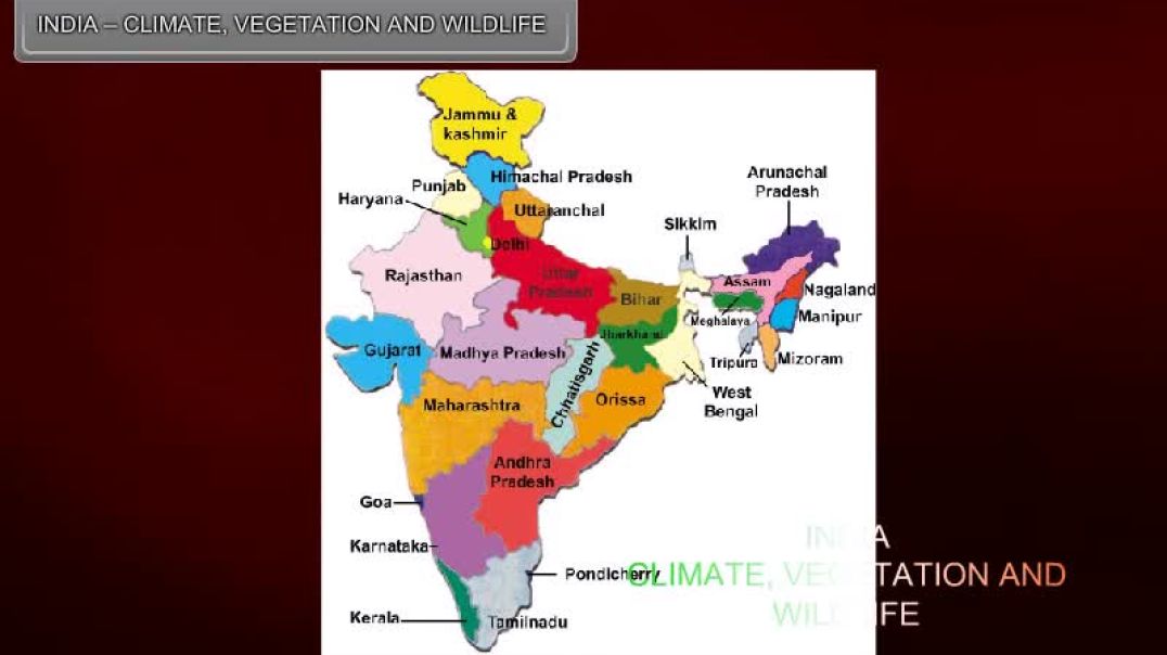 Class 6 English Medium Social science Animated video of INDIA-CLIMATE,VEGETATION AND WILDLIFE