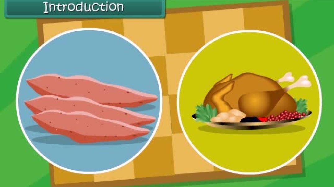 Class 1 English Medium EVS Animated food video