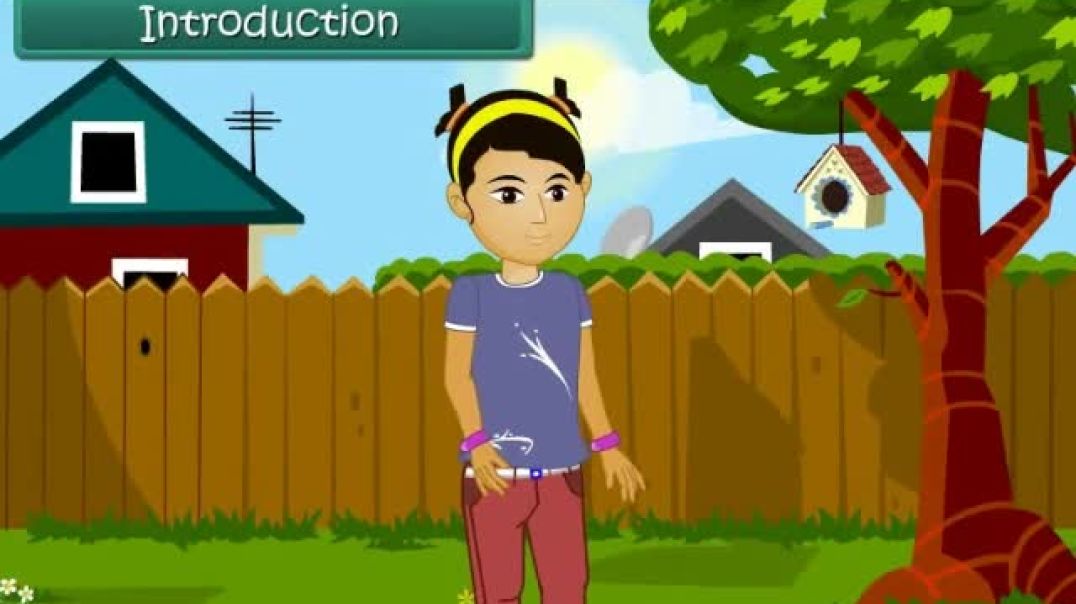 Class 4 English Medium EVS Animated video of Living Things and Non-Living Things