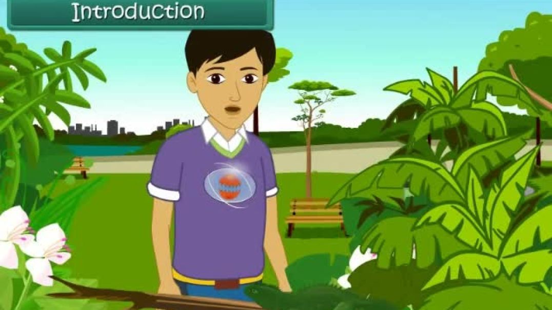 Class 6 English Medium science Animated video of Living Organisms and their surroundings(1)