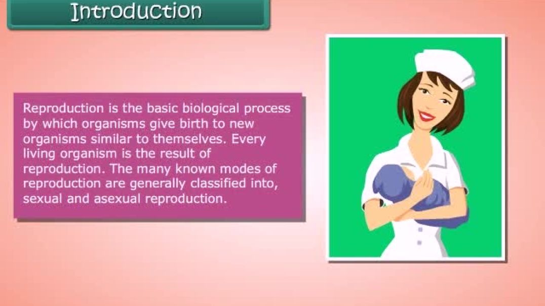 Class 8th_EM_Science_Reproduction in Animals