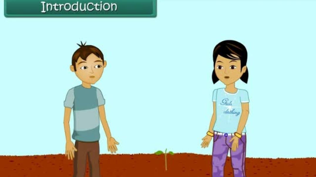 Class 5 English Medium science Animated video of Reproduction in Plants