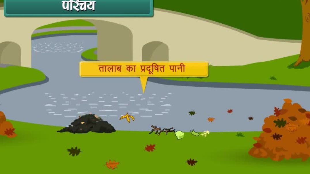 Class 6 Hindhi Medium Science Animated video of Garbage In Garbage Out