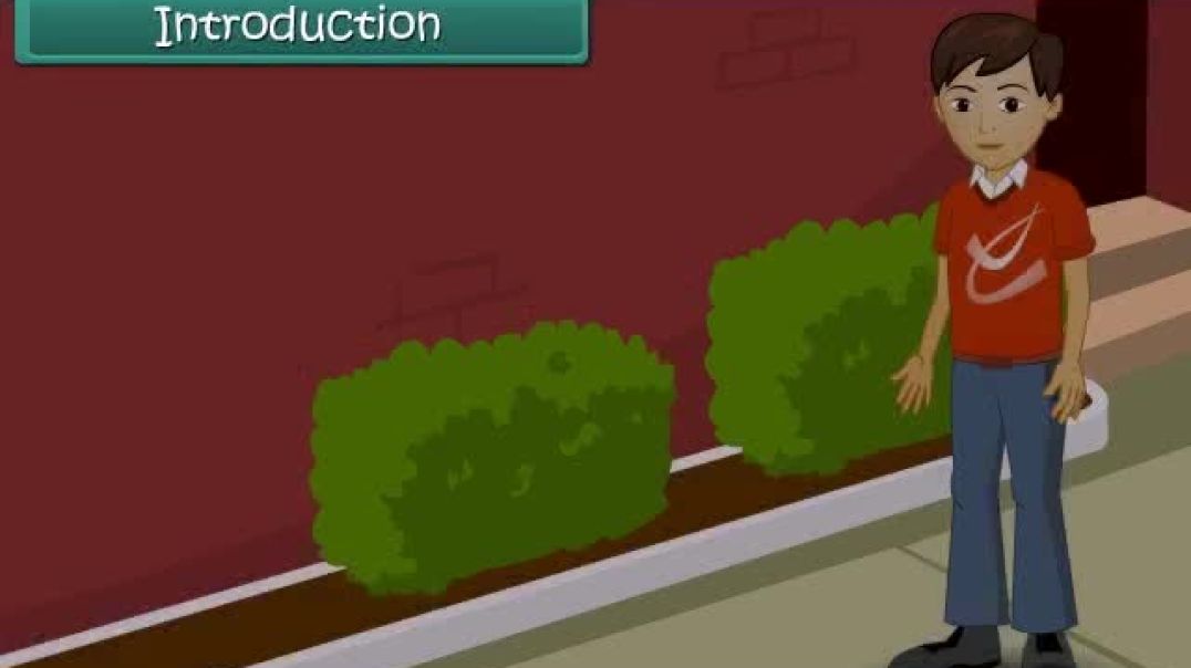 Class 8th_EM Science_⁣ Animated video of  Synthetic Fibres