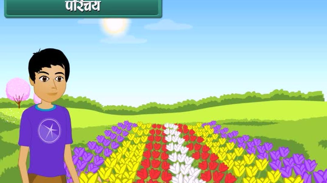 ⁣Class 4 Hindhi Medium Maths Animated video of Patterns