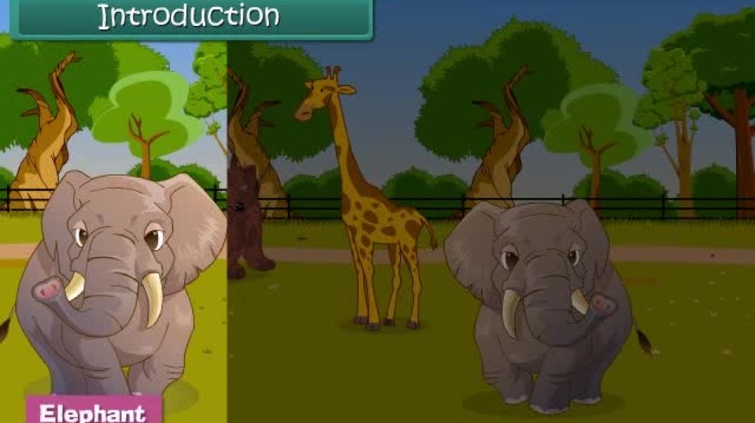 Class 1 Hindi Medium Maths Animated video of Measurement