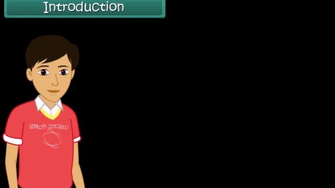 English Medium Science Animated video of Transportation in animals