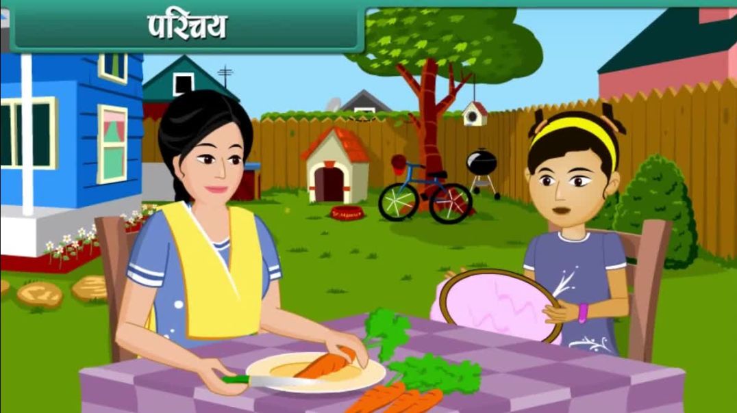 Class 6 Hindhi Medium Science Animated video of Science Fun with Magnets