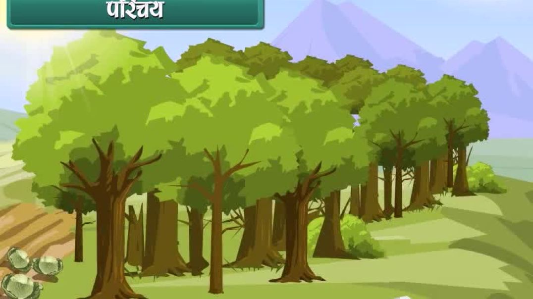Class 6 Hindhi Medium Science Animated video of Getting to Know Plants