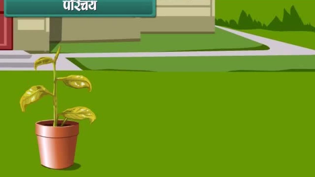 Class 7 Hindhi Medium science Animated video of Transportation in Plants