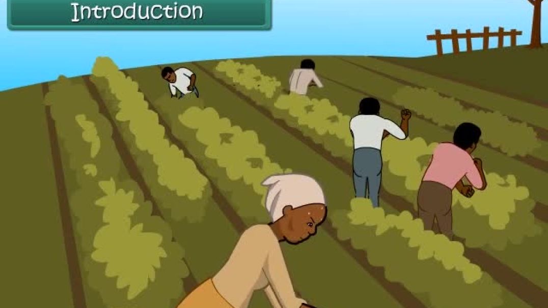 Class 8th_EM Science_⁣ Animated video of Crop Production