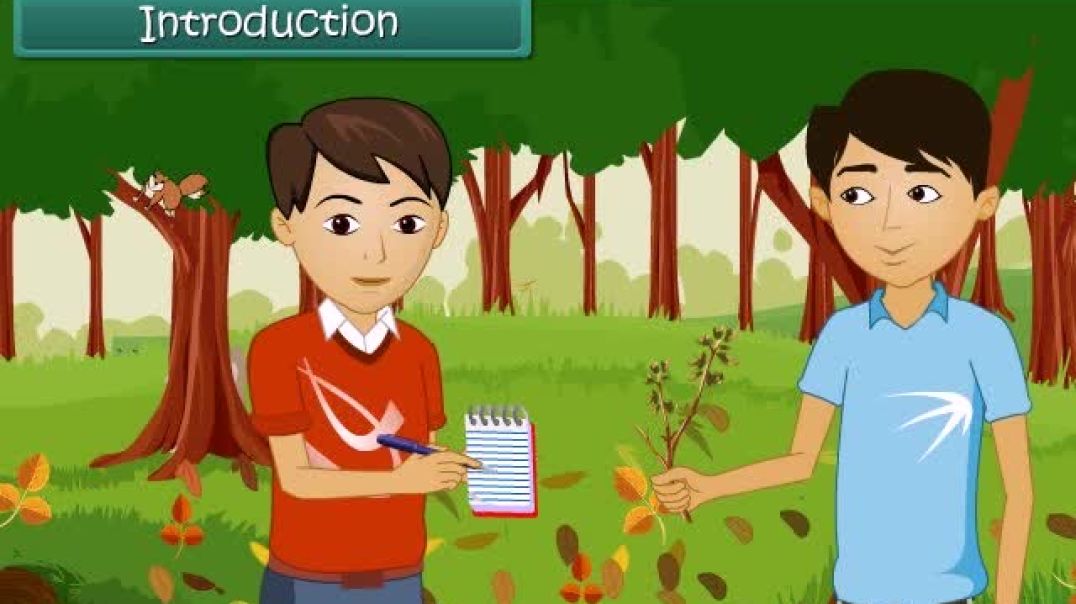 Class 8th_EM Science_⁣ Animated video of  Conservation of Plants _ Animals