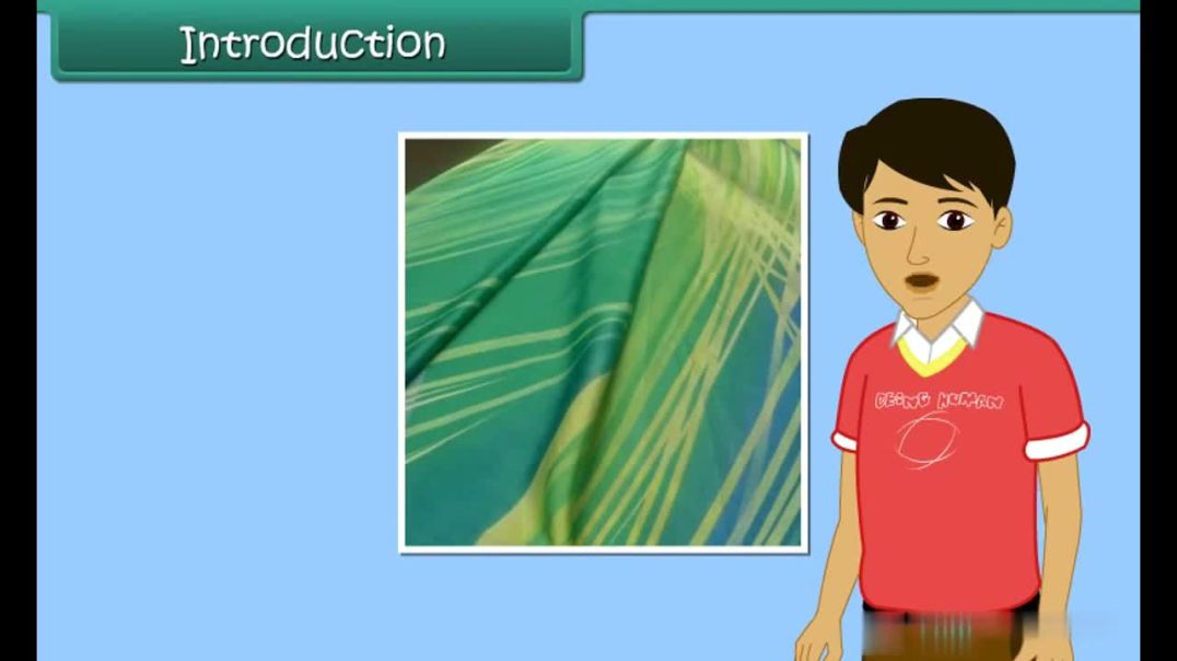 Class 7 English Medium Science Animated video of Fibre to fabric Silk