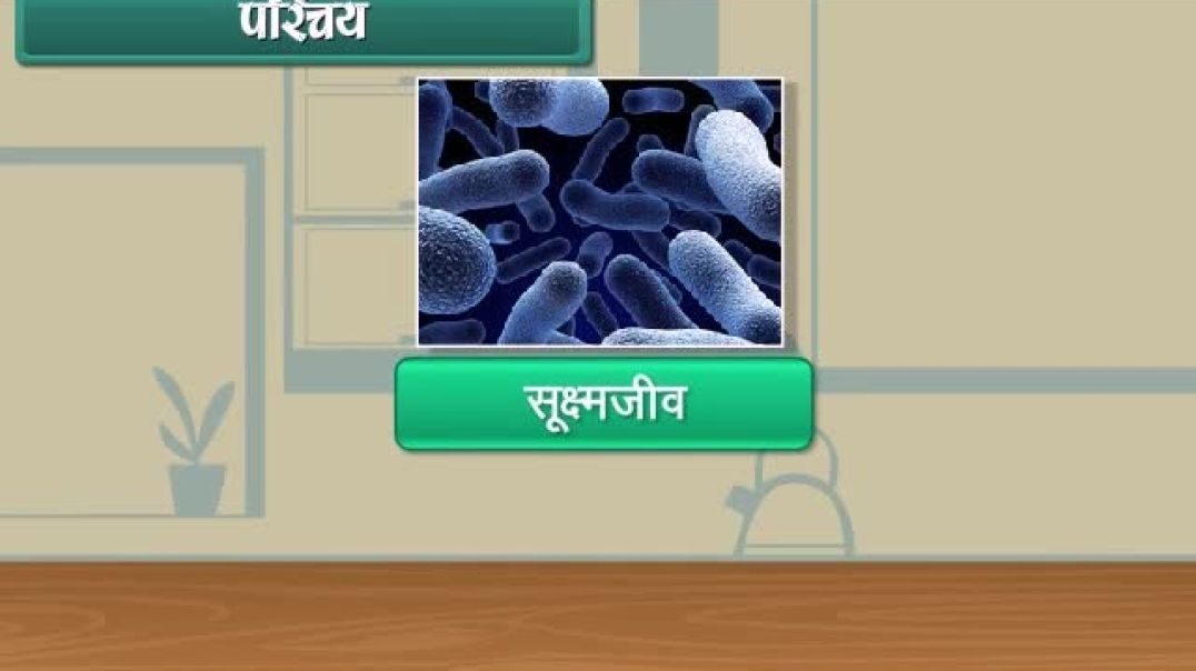 Class 8th_Hindhi Mediam Science Animated video of Microorganism Friends and Foe