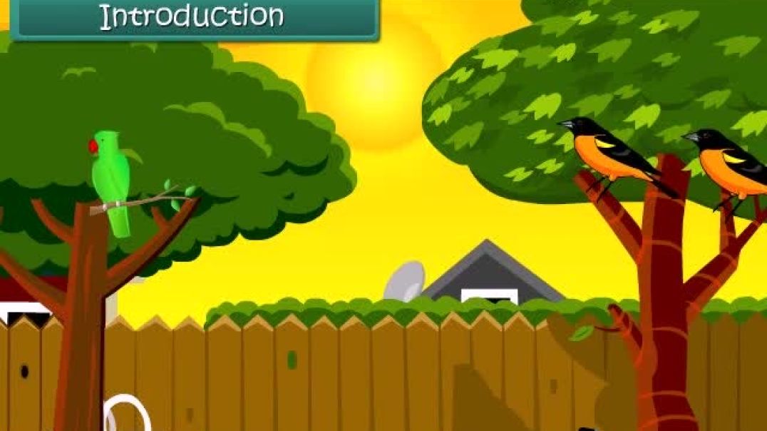 Class 1 Hindi Medium Maths Animated video of Time