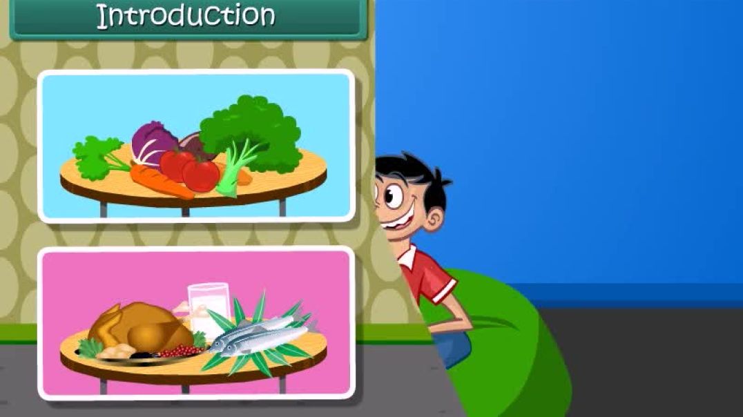 Class 4 English Medium EVS Animated video of Food and Us