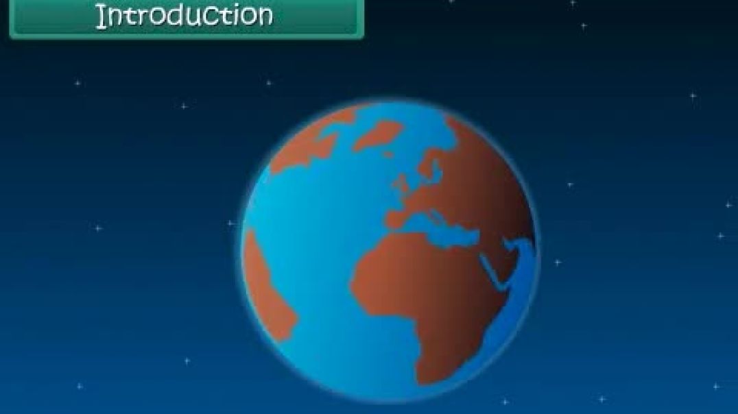 Class 3 English Medium EVS Animated video of Animal Life