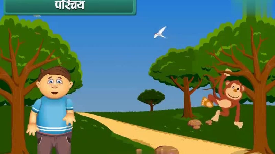 Class 1 Hindi Medium EVS Animated video of Living Things and Non Living Things