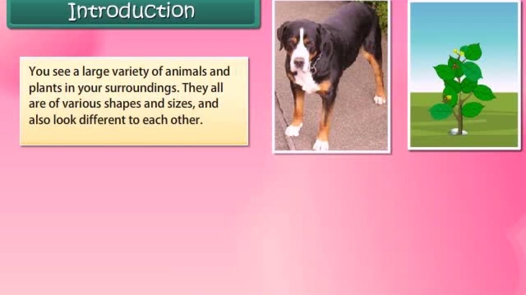 8th_EM_Science Animated video of Cell - Structure and Function