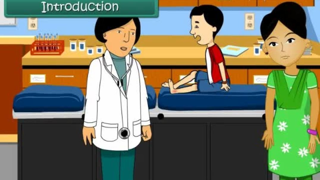 Class 3 English Medium EVS Animated video of Human Body