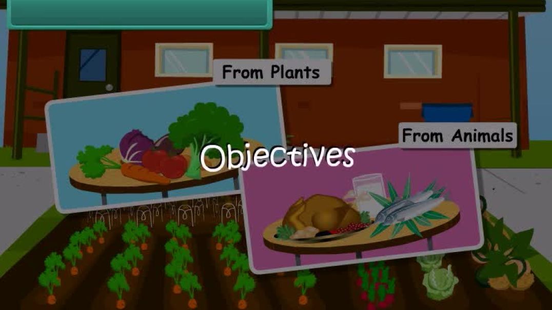 Class 4 English Medium EVS Animated video of Sources of Food(1)