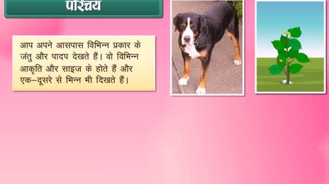 Class 8th_Hindhi Mediam Science Animated video of Cell - Structure and Function