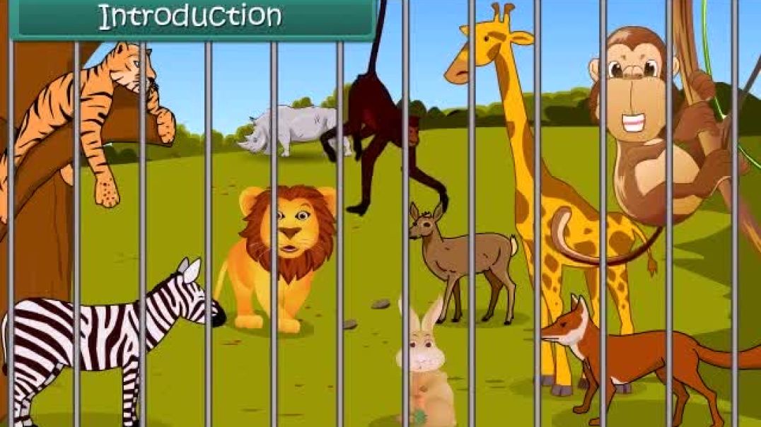 Class 1 English Medium EVS Animated video of Maths Comparison