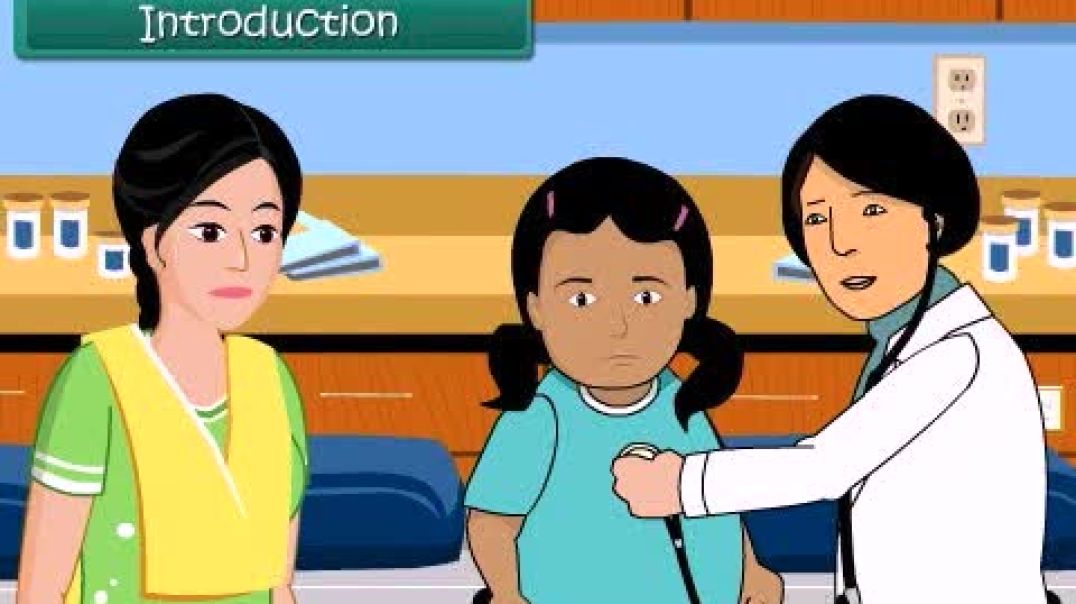 Class 3 English Medium EVS Animated video of Food and Health