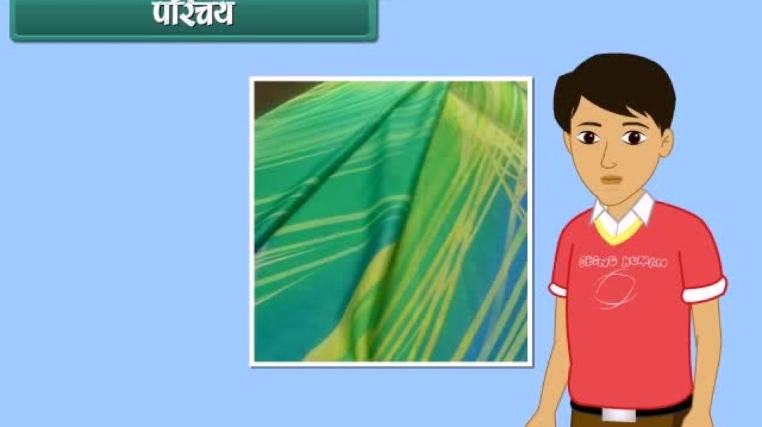 Class 7 Hindhi Medium science Animated video of Fibre to Fabric-Silk