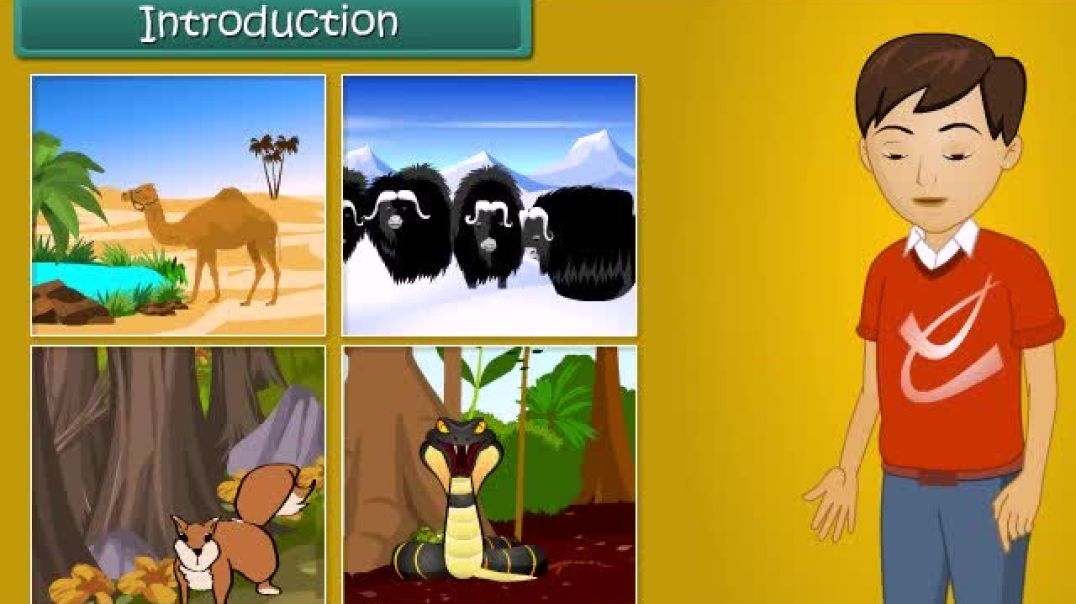 Class 6 English Medium science Animated video of Charesteristics of Living Organisms(1)