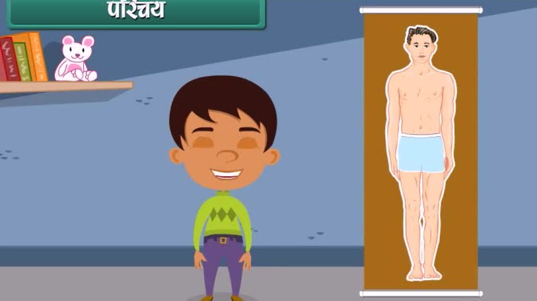 Class 1 Hindi Medium EVS Animated video of The Human Body