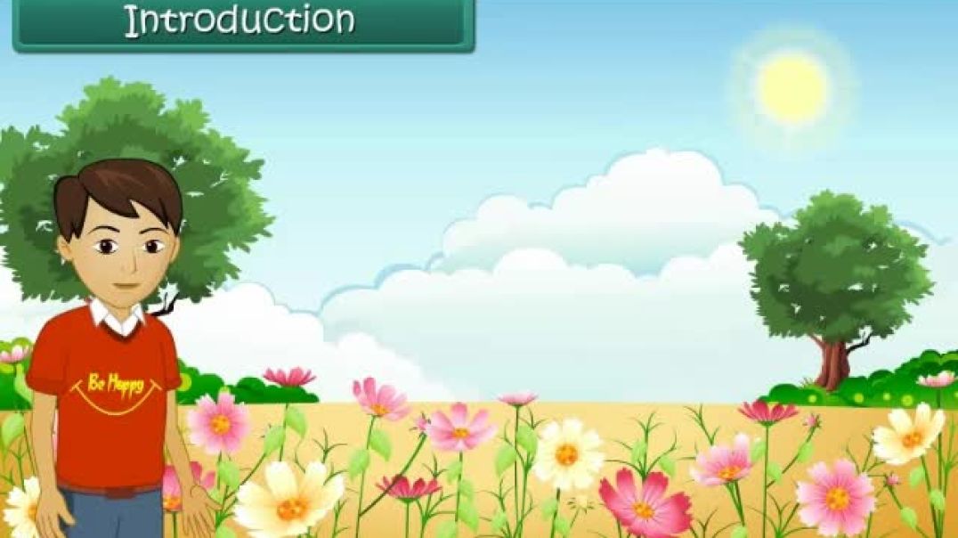 Class 6 English Medium science Animated video of Leaf and Flower in a Plant