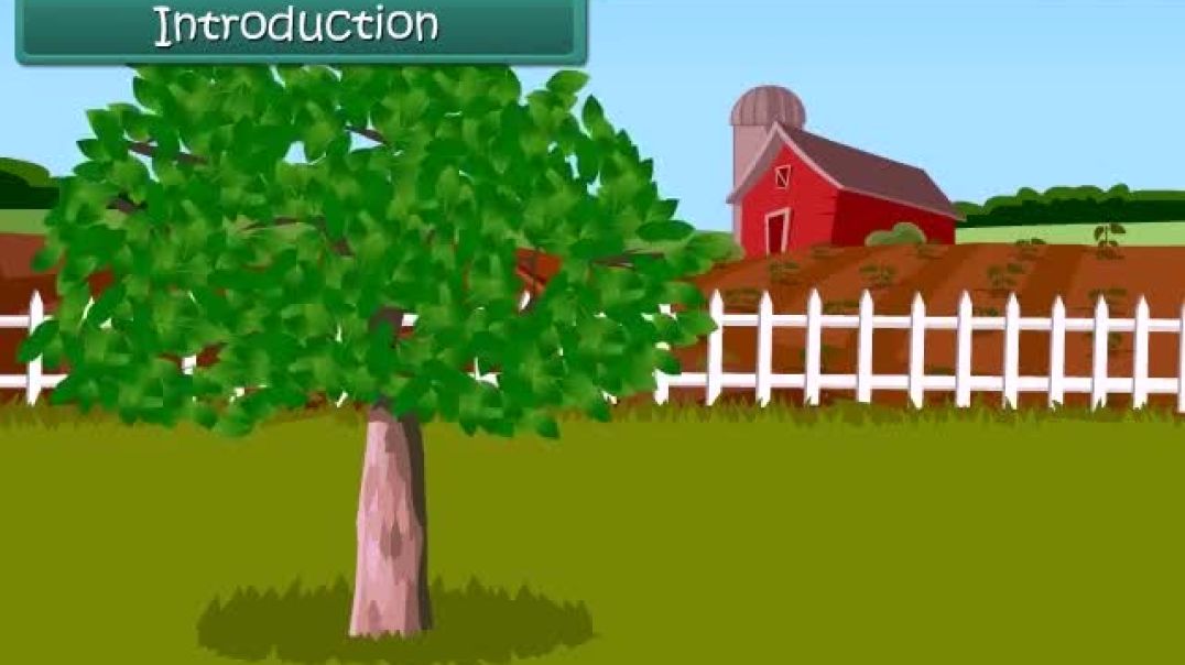 Class 1 English Medium EVS Animated video Air and Water
