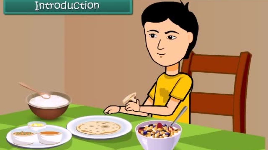 English Medium Science Animated video of Nutrition in Plants