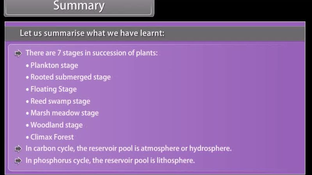 Class 12 th English Mediam Biology Animated video Of Ecosystem
