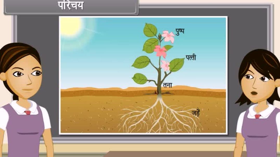 Class 10th hindhi Mediam biology Animated video of Control And Coordination-II