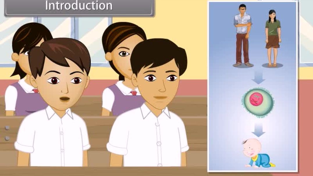 Class 12 th English Mediam Biology Animated video Of Princilpes of Inheritance and variation-II