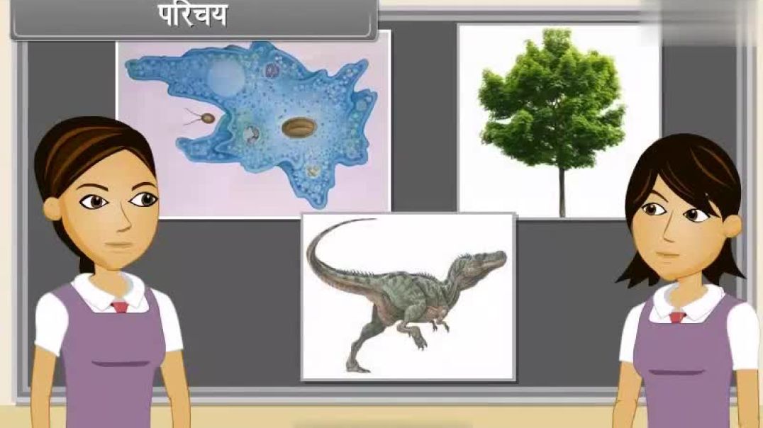 Class 12 th Hindi Mediam Biology Animated video Of Evolution -1