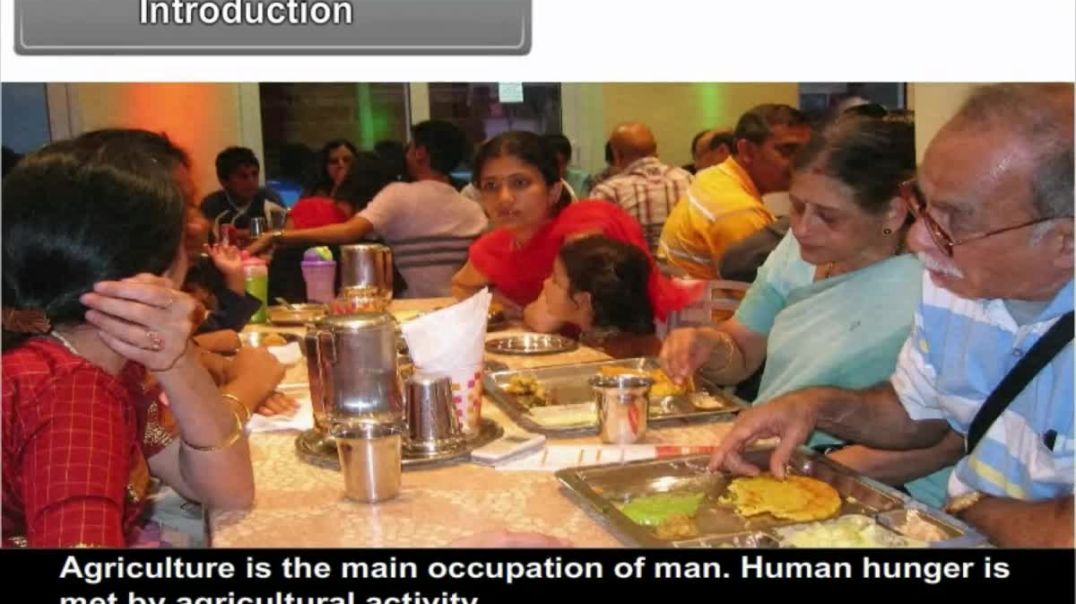 Class 9th_English Mediam Social Science Animated video of Agriculture-3