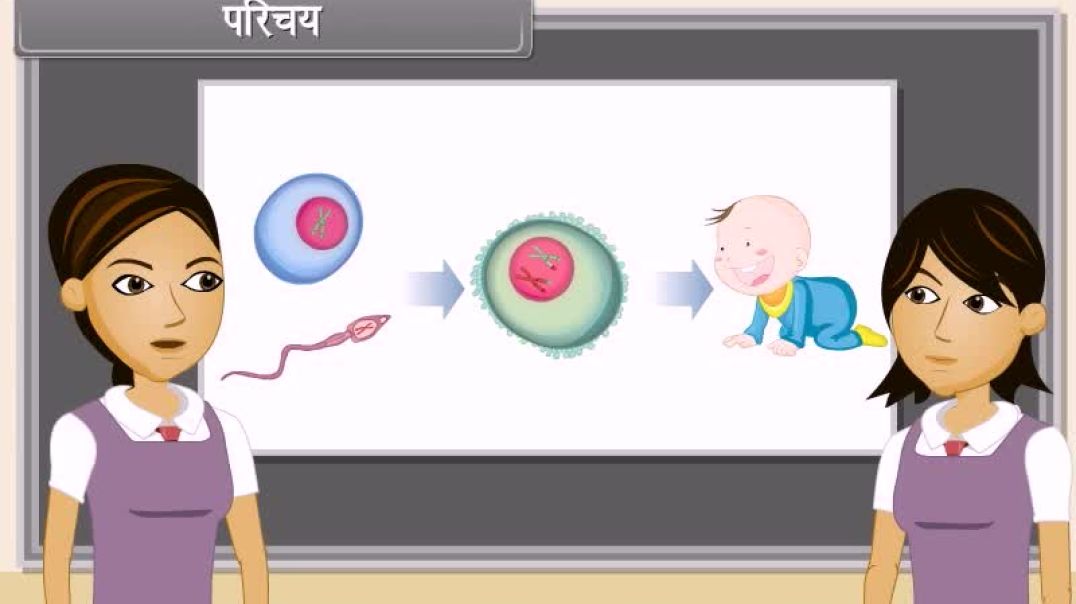 Class 10th hindhi Mediam biology Animated video of How Do Organisms Reproduce-IV