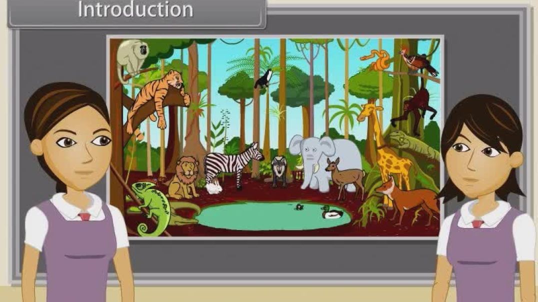 Class 11 th English Mediam Biology Animated video of Animal Kingdom-I-2