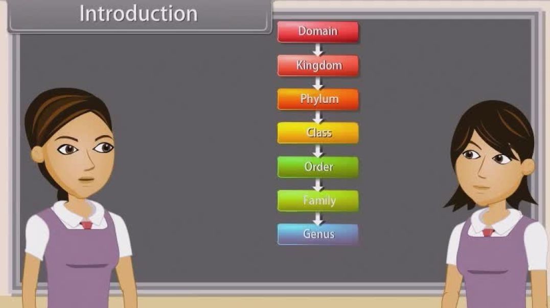 Class 11 th English Mediam Biology Animated video of Biological Classification-Ii-6