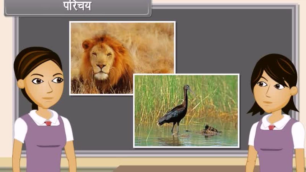 Class 10th Hindhi Mediam Biology Animated video of Control And Coordination