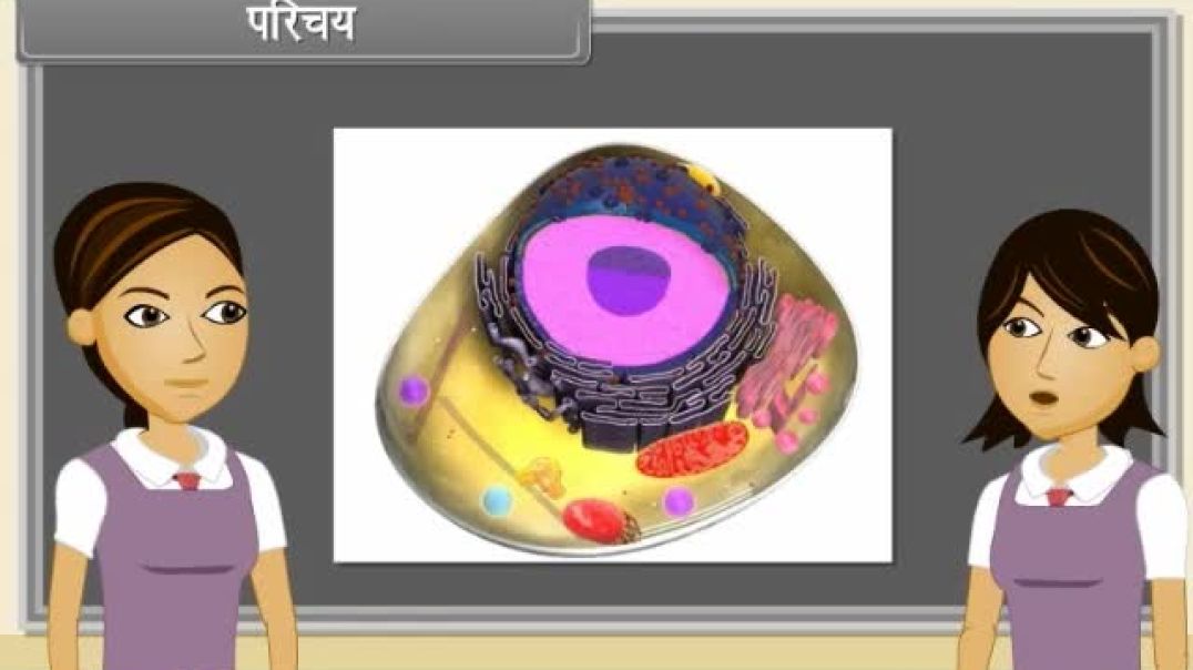Class 11th hindhi Mediam Biology Animated video of Cell The unit of Life-II