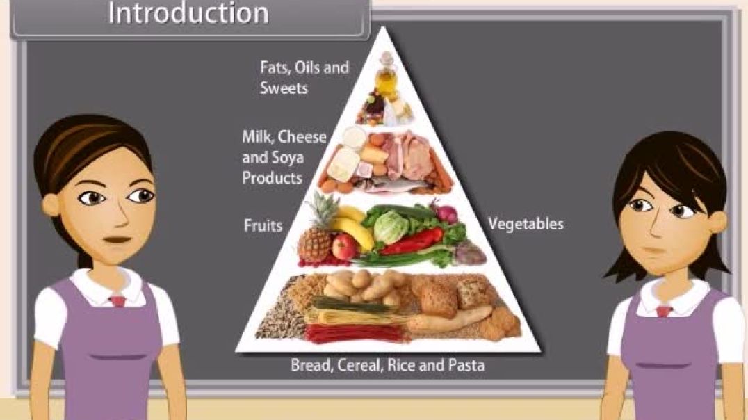 Class 10th_English Mediam Science Biology Animated video of Life Processes-Transportation