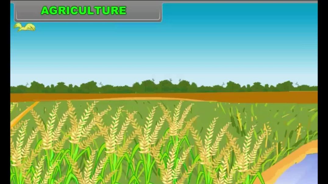 Class 8th_EM_Social Science_Agriculture